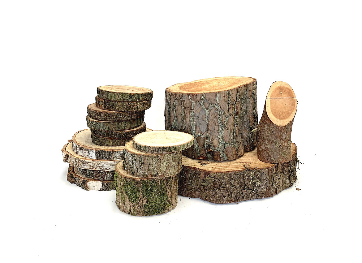Logs-and-Wood-Slices2C-Various-Sizes.jpg